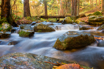 autumn landscape with mountain river flowing among mossy stones through the colorful forest
