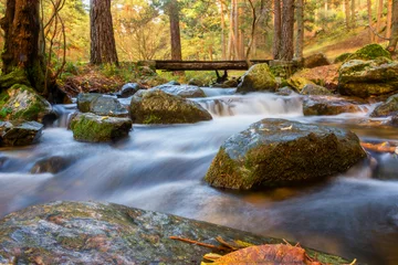 Fotobehang autumn landscape with mountain river flowing among mossy stones through the colorful forest © Alberto Gardin