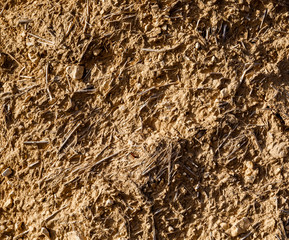Texture clay with branches