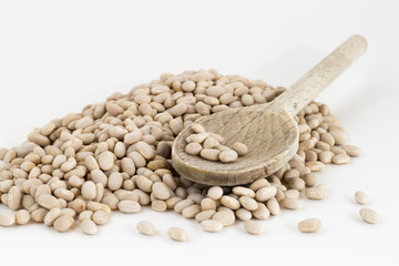 Navy beans in wooden spoon