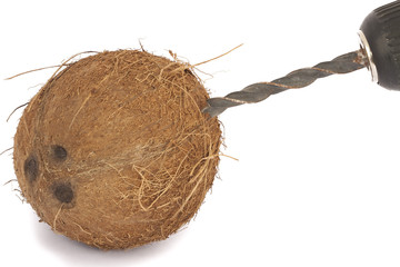 coconut and drill isolated on white