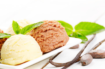 Cocoa and vanilla ice cream scoop