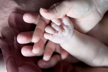Маленькая ручка младенца в руках родителей