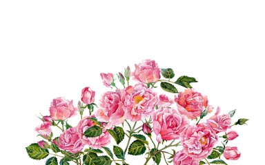 Fototapeta premium Bouquet of pink roses.Watercolor.