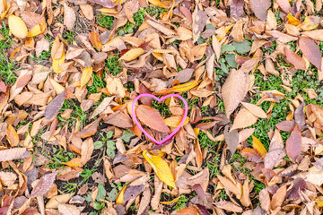 落ち葉, ハートマーク