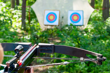 Woman aiming crossbow at target - obrazy, fototapety, plakaty