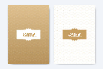 Modern vector template for brochure, Leaflet, flyer, cover, booklet, magazine or annual report. A4 size. Abstract golden presentation book layout. Geometric pattern with connected lines and dots.