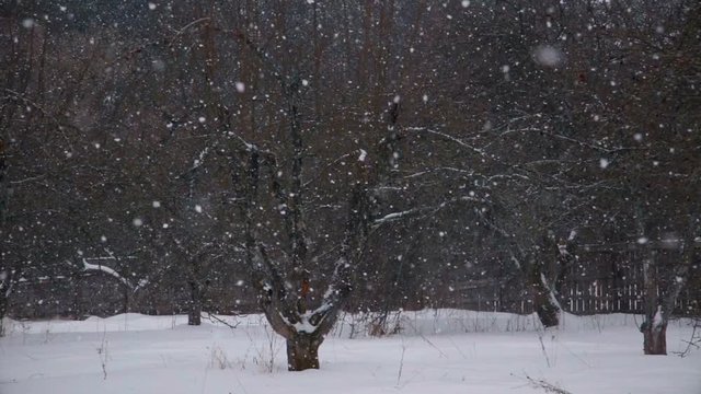 Winter landscape with falling snow