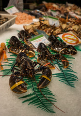 Fresh Lobster on Ice. Fresh Lobster sold on a market stand at "Mercado de La Boqueria", Barcelona Spain.