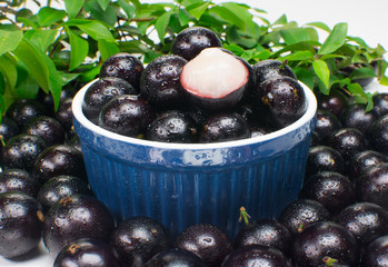 Jabuticabas no Ramekin azul com uma aberta