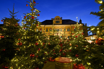 Weihnachtsbäume vor Schloss