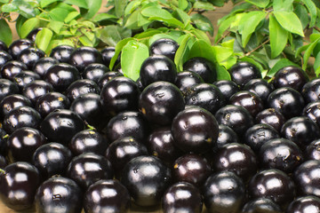 Jabuticabas espalhadas