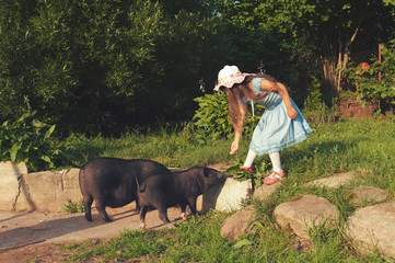 Pigs and a little girl