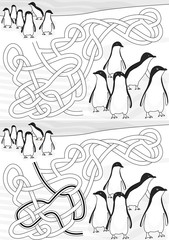 Penguins maze