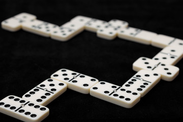 Playing dominoes. White pieces with black dots.