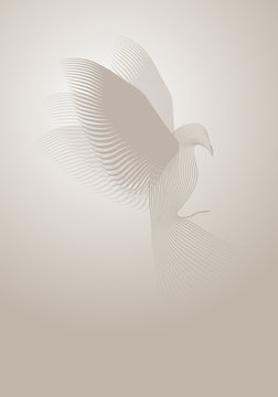 Magic dove made with lines on misty background. Vector illustration