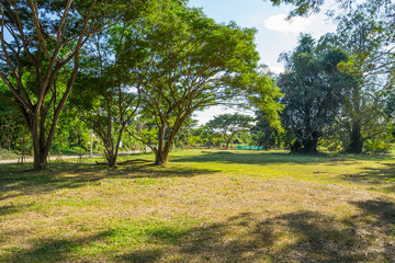 Fototapeta na wymiar Landscape of grass field and green environment public park in Pai, Thailand