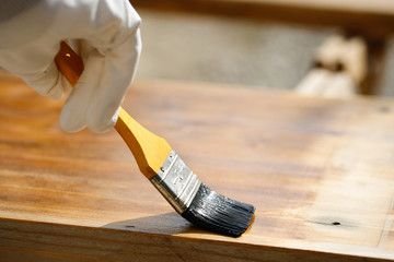 Painter painting wooden surface, protecting wood