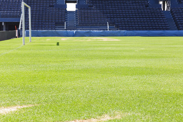 Green grass on the football field
