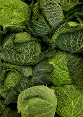 close up of savoy cabbages