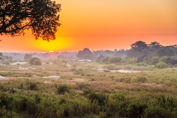 Sunrise in the Kruger Park, South Africa