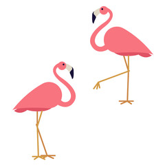 couple of vector pink flamingo