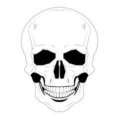 Skulls