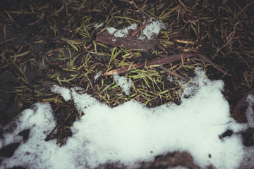 photo made at a river in winter /the  in the snow/river which runs through the snow and icy trees