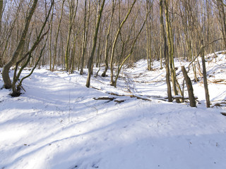 schnee und eis und winterliche texturen und hintergründe
