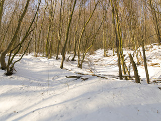 schnee und eis und winterliche texturen und hintergründe