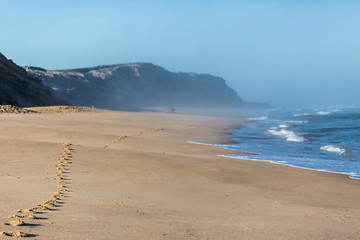 Footprints, beach, sand, Portugal, Europe