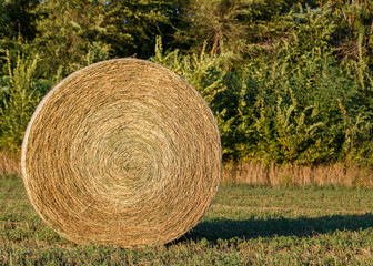 Round the haystack on the meadow.