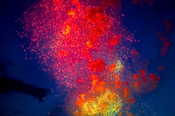 Colorful fireworks light up the night sky