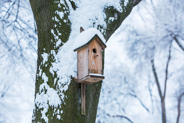 Birdhouse hanging on a tree in winter with snow