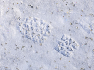 schnee und eis und winterliche texturen und hintergründe