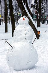 snowman on a park