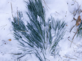 schnee und eis und winterliche texturen und hintergründe