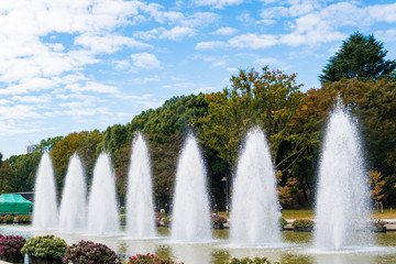 上野公園噴水冬2016