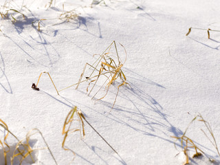 schnee und eis und winterliche texturen und hintergründe