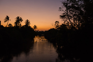 sunset on the river silhouette of trees and palm with reflection