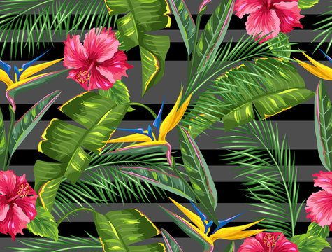 Seamless pattern with tropical leaves and flowers. Palms branches, bird of paradise flower, hibiscus