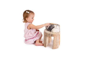 Little cute girl playing with a Guinea pig on a white background