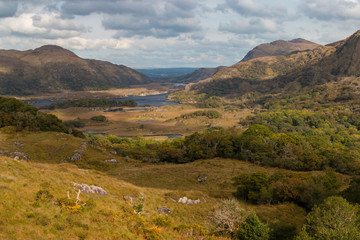 Fototapeta premium Irish Landscape Near Killarney