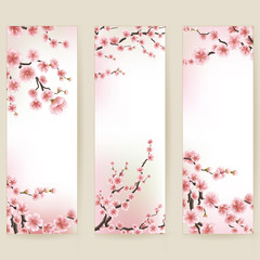 Cherry blossom realistic banner. EPS 10 - 133203030