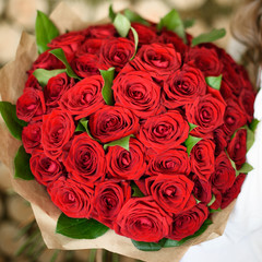 many red roses shot in shallow DOF