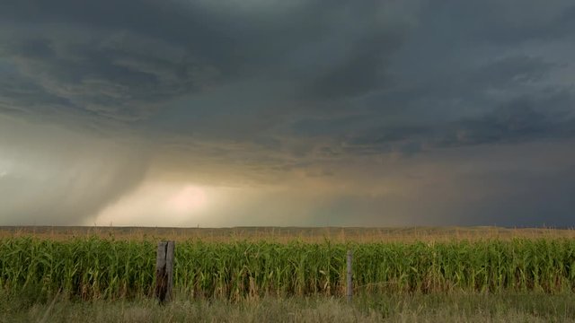 Small Supercell Shows Rotation