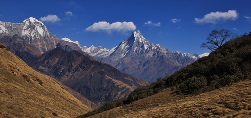 Mount Machapuchare and Hiun Chuli