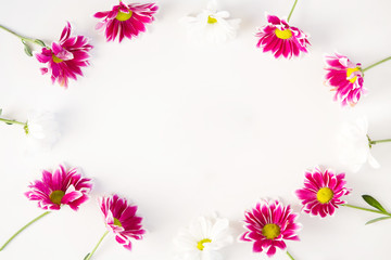 Flower frame composition of a lilac chrysanthemums on a white background, top view