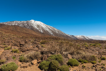 volcanic landscape, Teide, Tenerife