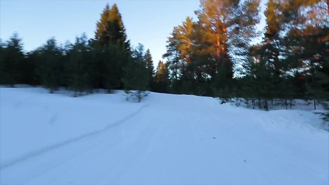 POV view: camera moving through the winter forest on the ski trace at sunny day